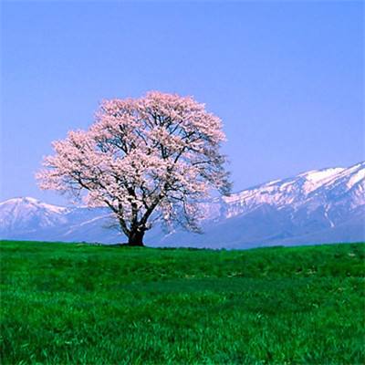 默虹｜美海军测试新制服，配发“一脚蹬”老头皮鞋