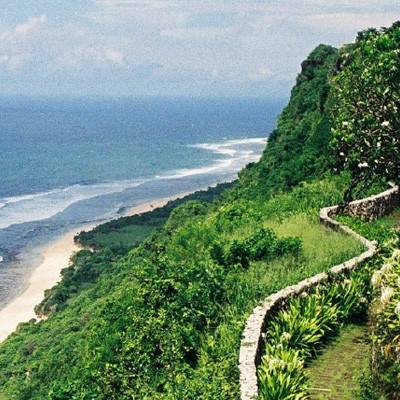 台风贝碧嘉登陆上海浦东