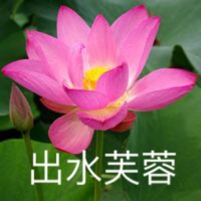 【0910早报】教师节最要紧的是祝老师们节日快乐的周二